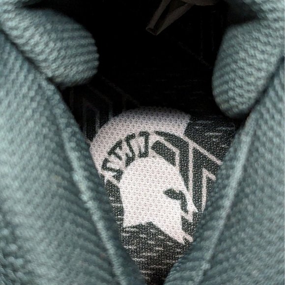 Nike Force Savage Pro 2 Mid Shark Men\'s 14 Michigan State PE football cleats main image 12